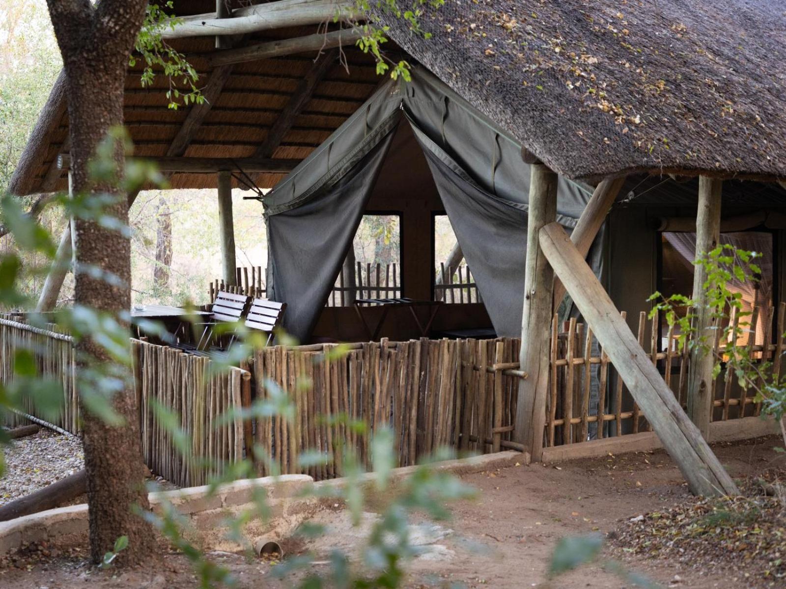 Kwambili Game Lodge Thornybush Doğa Koruma Alanı Oda fotoğraf