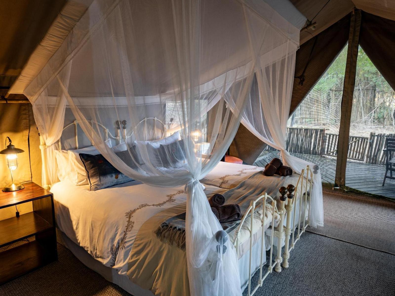 Kwambili Game Lodge Thornybush Doğa Koruma Alanı Oda fotoğraf