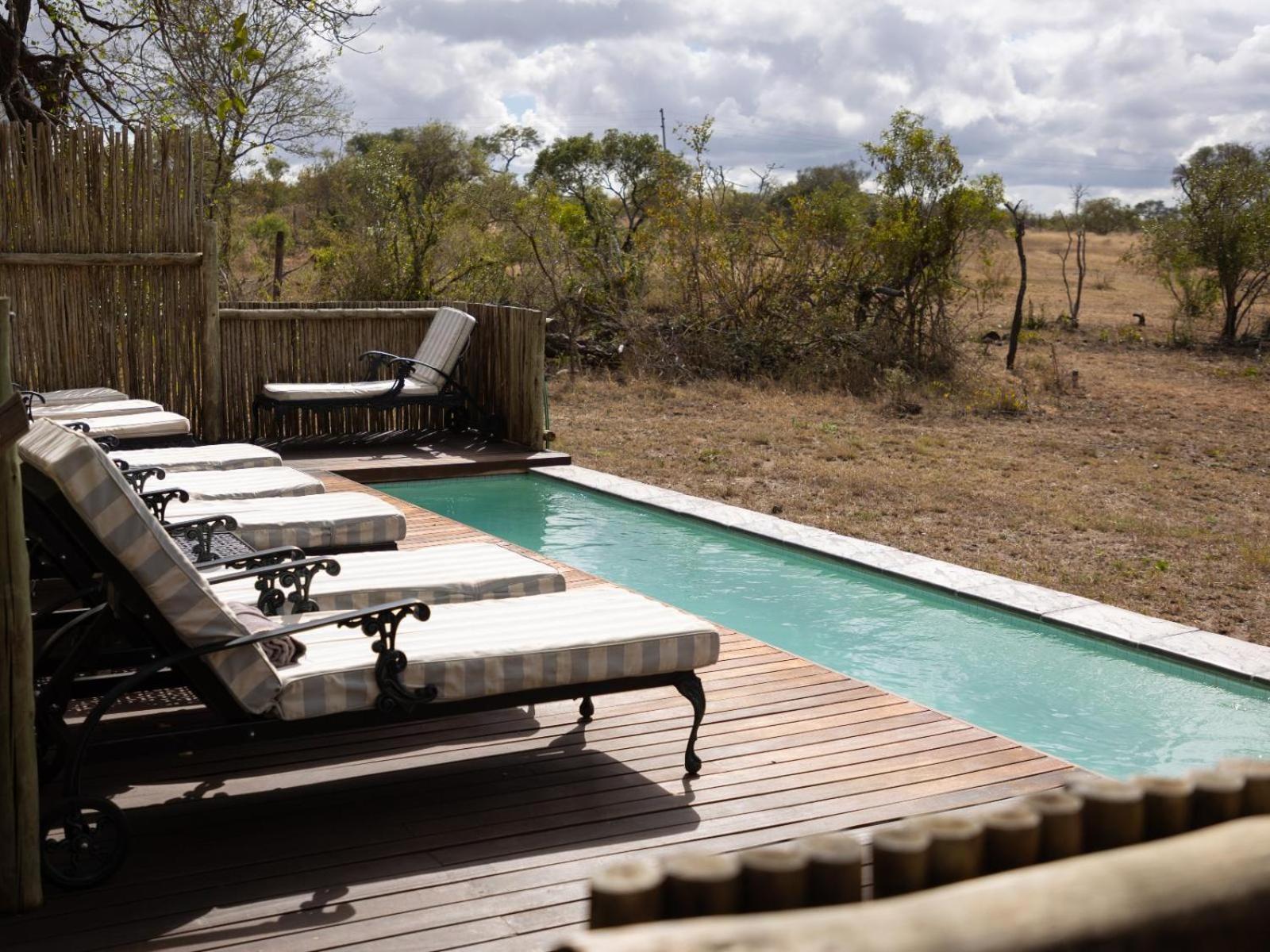 Kwambili Game Lodge Thornybush Doğa Koruma Alanı Dış mekan fotoğraf
