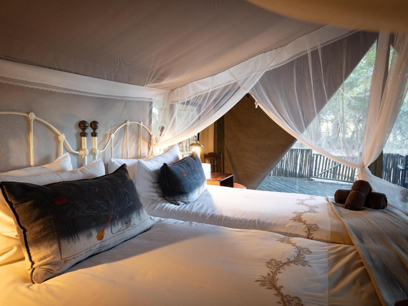 Kwambili Game Lodge Thornybush Doğa Koruma Alanı Dış mekan fotoğraf