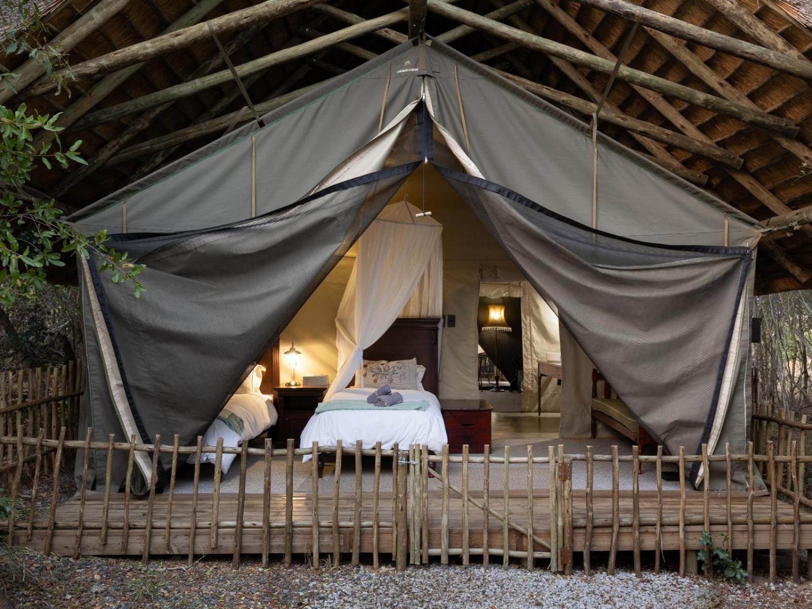 Kwambili Game Lodge Thornybush Doğa Koruma Alanı Dış mekan fotoğraf
