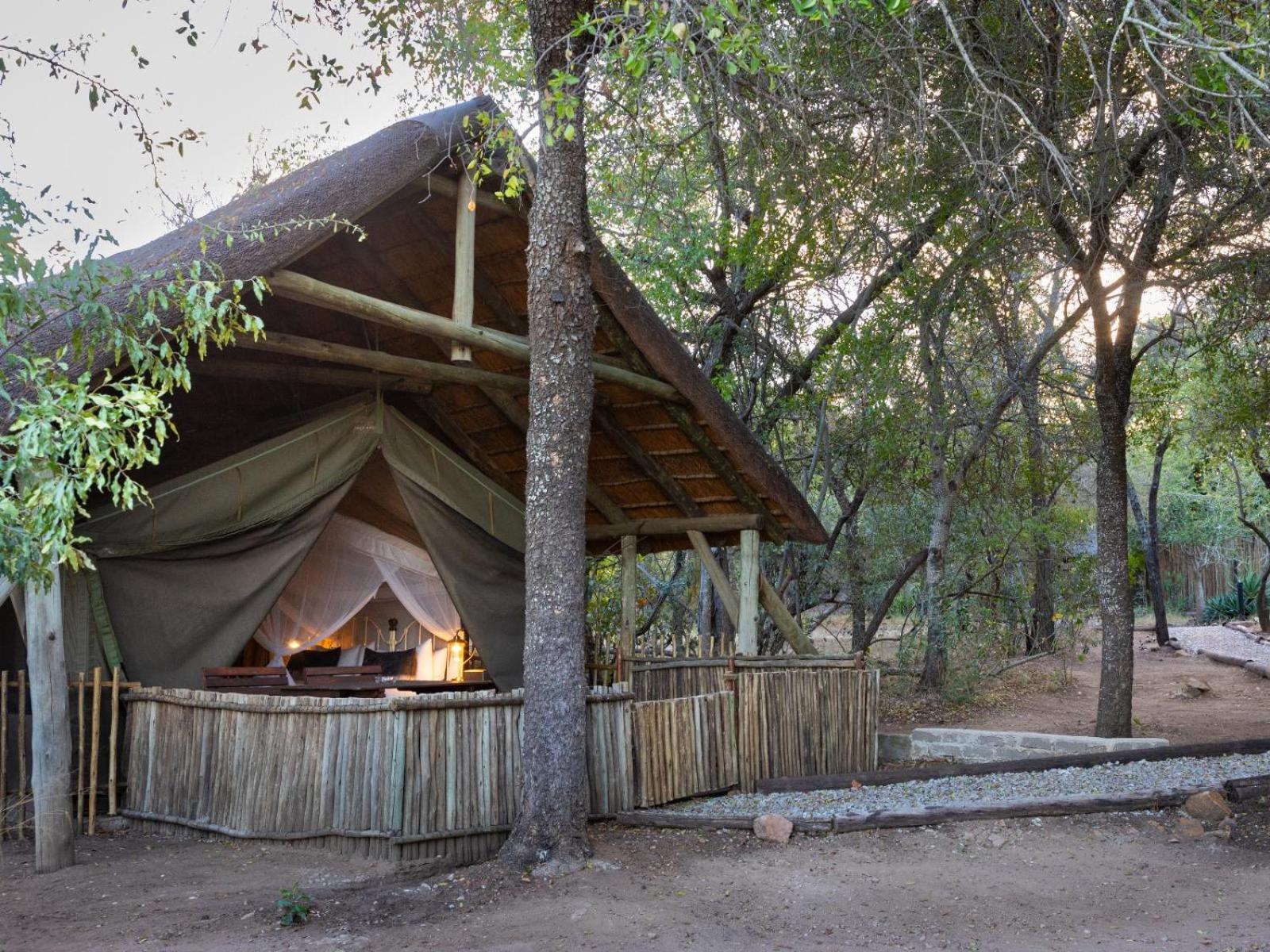 Kwambili Game Lodge Thornybush Doğa Koruma Alanı Oda fotoğraf